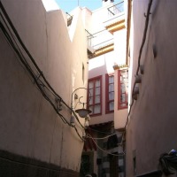 Foto de Damascos