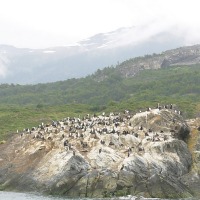 Foto de Puerto Natales