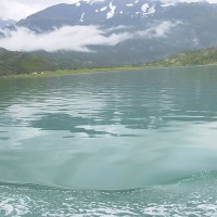 Foto de Puerto Natales