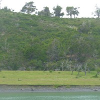 Foto de Puerto Natales