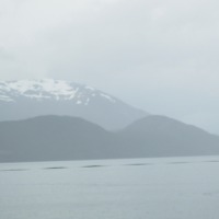 Foto de Puerto Natales