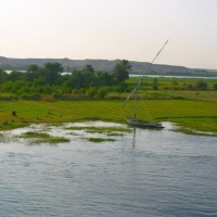 Foto de Edfu