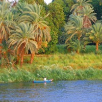 Foto de Edfu