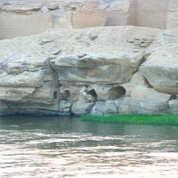 Foto de Edfu