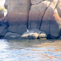 Foto de Aswan