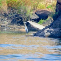 Foto de Aswan