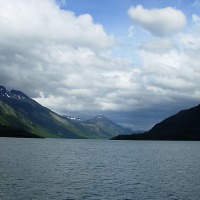 Foto de Puerto Natales