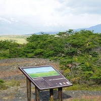 Foto de Puerto Natales