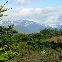 Foto de Puerto Natales