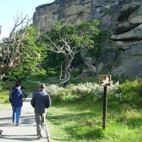 Foto de Puerto Natales