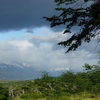 Foto de Puerto Natales