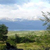 Foto de Puerto Natales