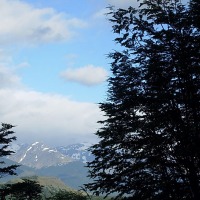 Foto de Puerto Natales