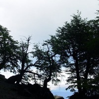 Foto de Puerto Natales