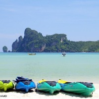 Foto de Phi Phi Island