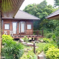 Foto de Phi Phi Island