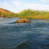 Foto de Aswan