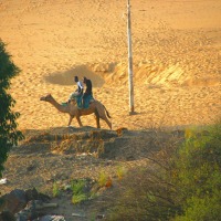 Foto de Aswan