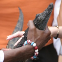 Foto de Aswan