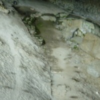 Foto de Puerto Natales