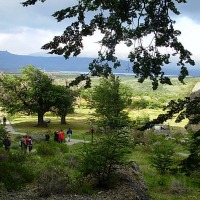 Foto de Puerto Natales