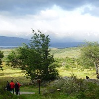 Foto de Puerto Natales