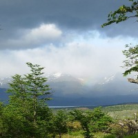 Foto de Puerto Natales