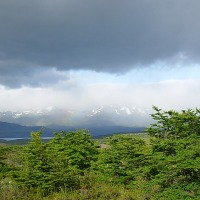 Foto de Puerto Natales