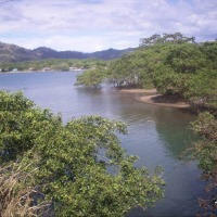 Foto de Mata de Limon, Puntarenas