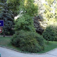 Foto de Opatija