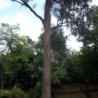 Foto de Oviedo