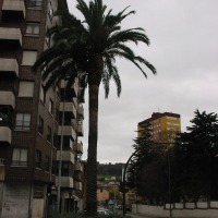 Foto de Avilés