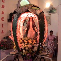 Foto de Caicara del Orinoco