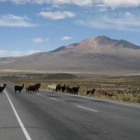 Foto de Curahuara de Carangas