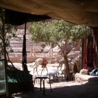 Foto de Petra