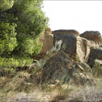 Foto de Alberuela de Tubo