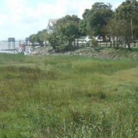 Foto de Talmont sur gironde