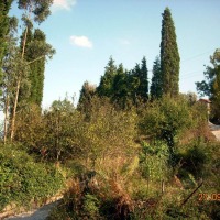 Foto de Figarines