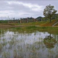 Foto de Zaragoza