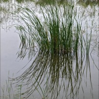 Foto de Zaragoza
