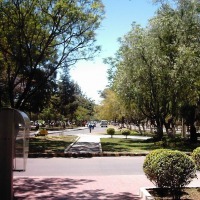 Foto de Tarija
