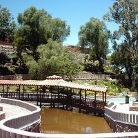 Foto de Tarija