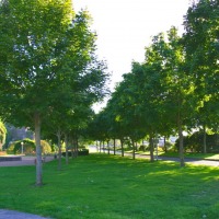 Foto de Angers