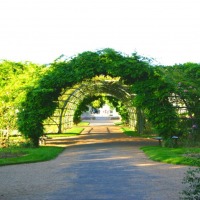 Foto de Angers