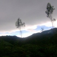 Foto de Arcabuco