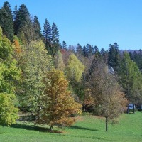 Foto de Sinaia