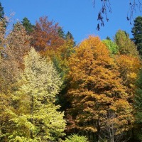 Foto de Sinaia
