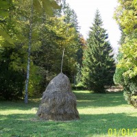 Foto de Sinaia