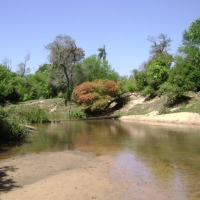 Foto de San José