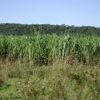 Foto de Paraguari